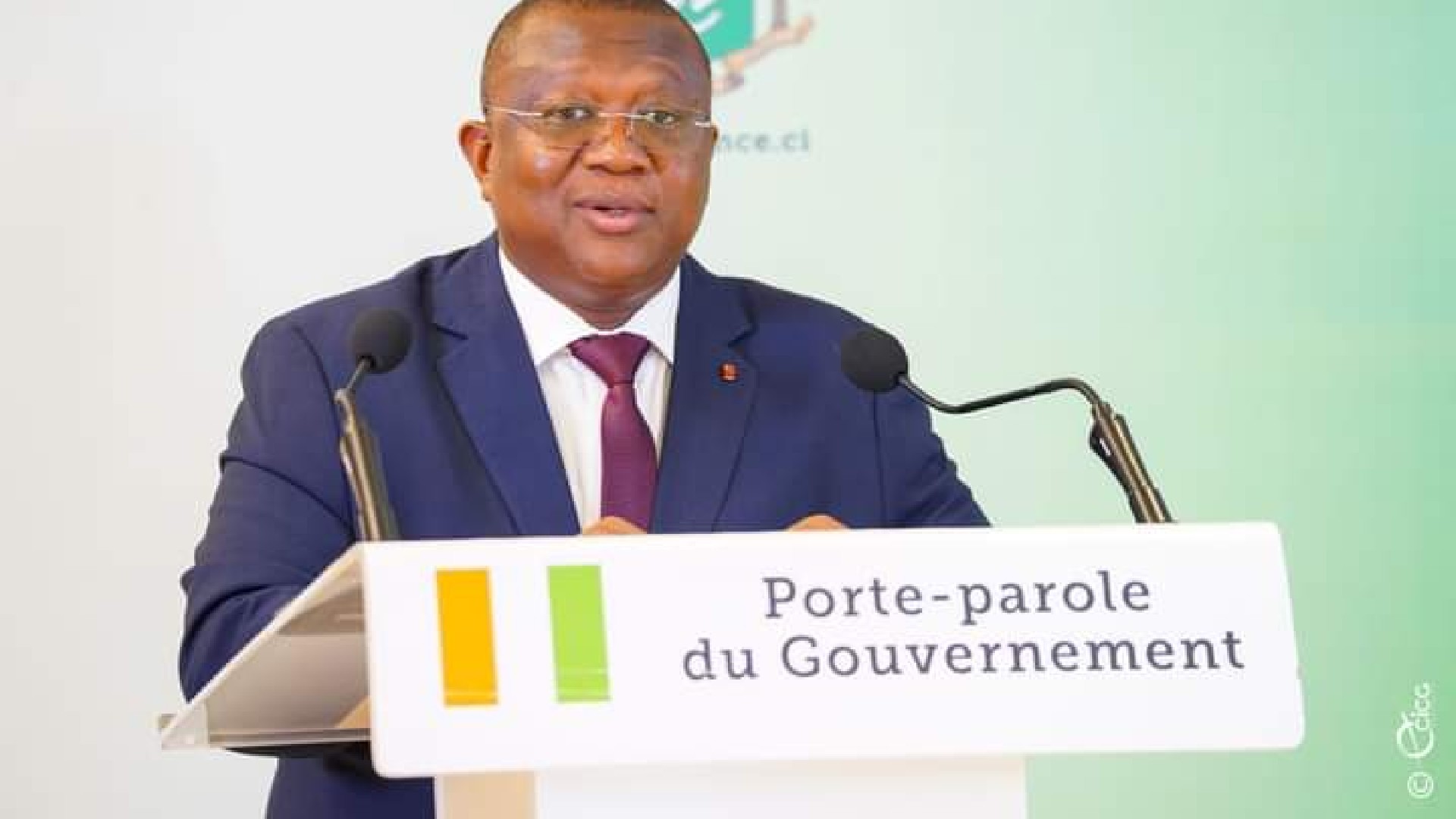 Radiation de Tidjane Thiam : ce que le gouvernement ivoirien en dit